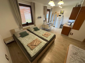 Apartmán LOSONCI Nesvady- pre 2 osoby štúdio